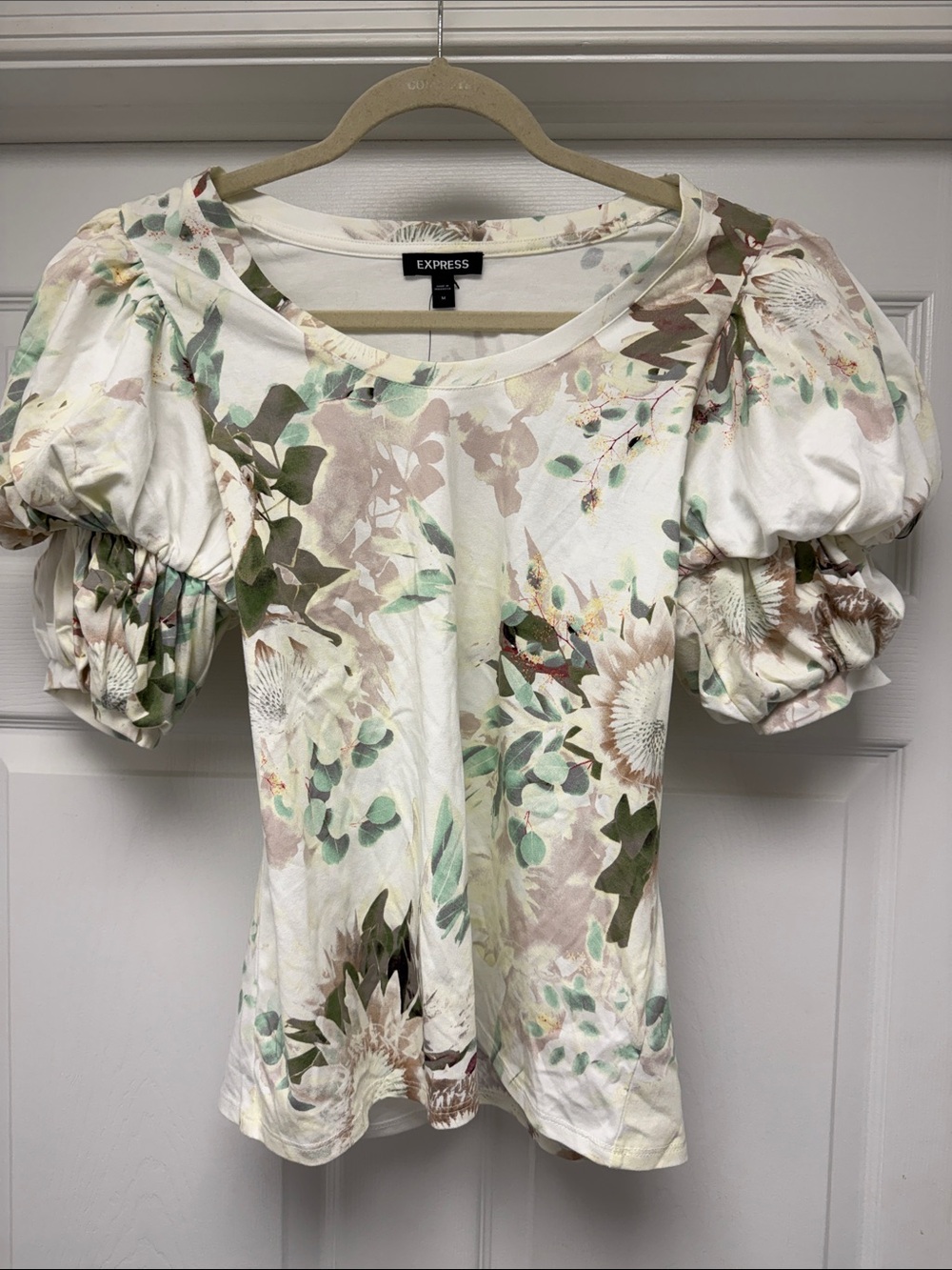 Express Floral Puff Sleeve Cream Top in Green and Tan